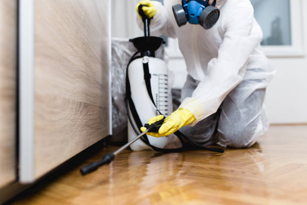Best Pest Control Near Me  in Shorewood, IL