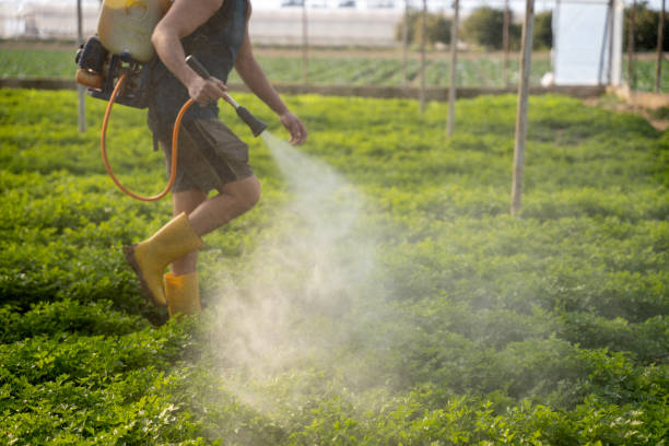 Best Best Pest Control Near Me  in Shorewood, IL