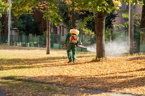 Best Termite Control Services  in Shorewood, IL