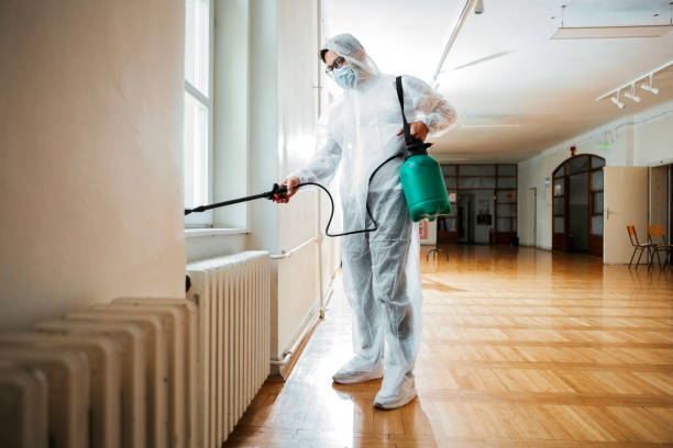Wasp Removal Services in Shorewood, IL