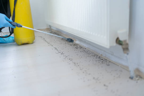 Best Commercial Pest Control Services  in Shorewood, IL